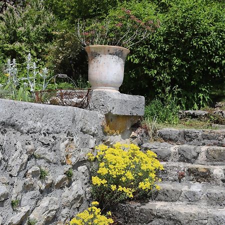 Chateau De Sothonod Dış mekan fotoğraf