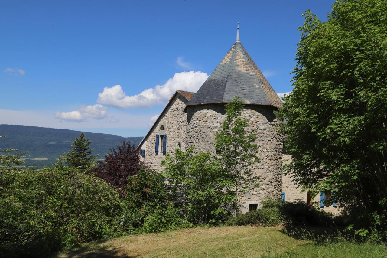 Chateau De Sothonod Dış mekan fotoğraf